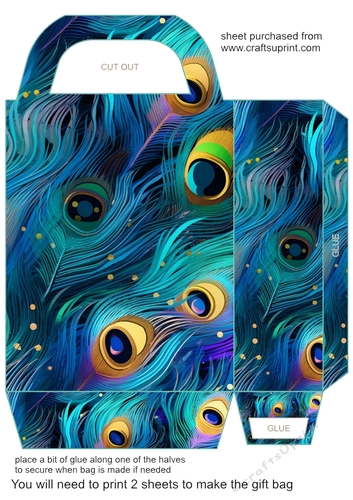Peacock feather gift bag (n) 3