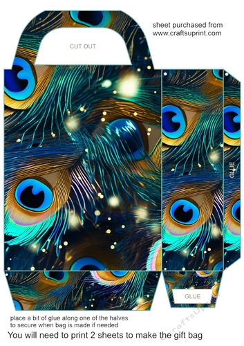 Peacock feather gift bag (n) 4
