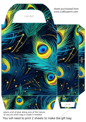 Peacock feather gift bag (n) 9