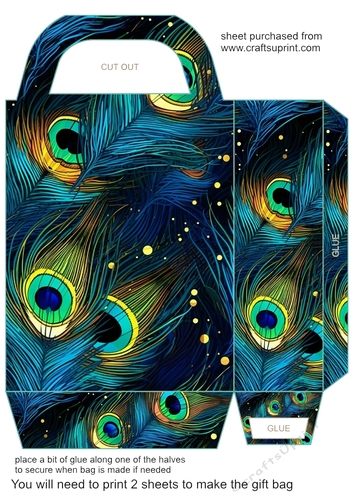 Peacock feather gift bag (n) 11
