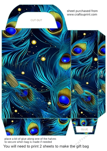 Peacock feather gift bag (n) 12
