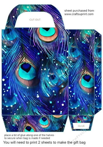 Peacock feather gift bag (n) 13