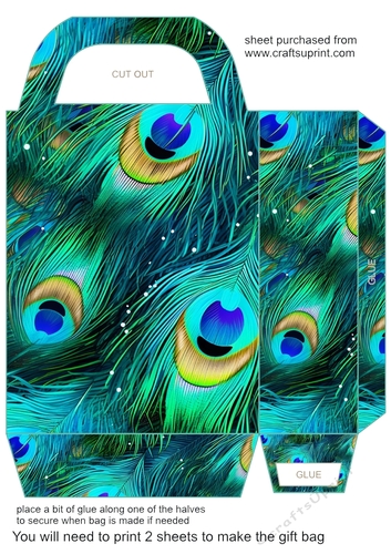 Peacock feather gift bag (n) 14