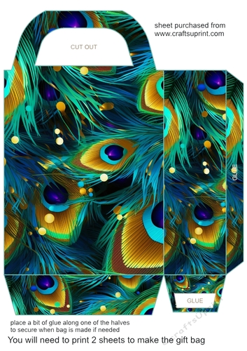Peacock feather gift bag (n) 15