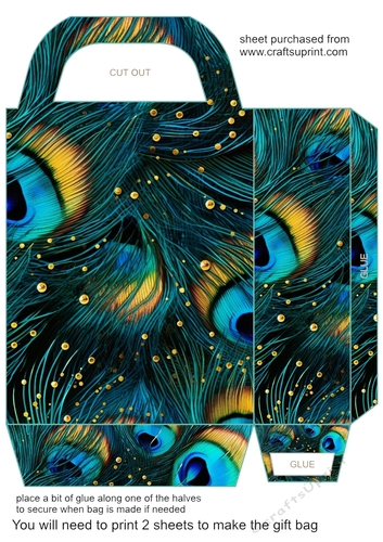 Peacock feather gift bag (n) 16