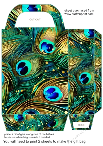 Peacock feather gift bag (n) 17