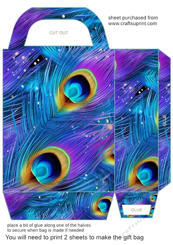 Peacock feather gift bag (n) 18