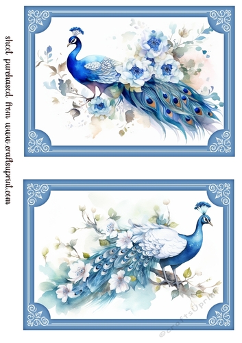 2 Peacock topper/card fronts in blue frame 1