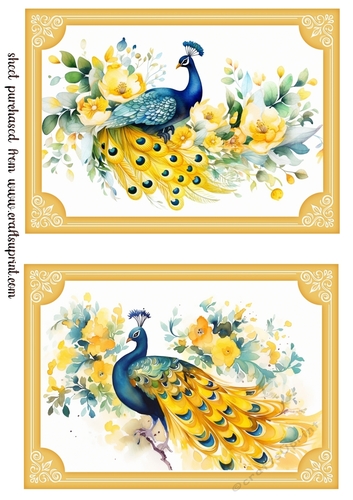 2 Peacock topper/card fronts in citrus frame 1