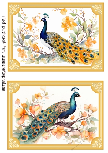 2 Peacock topper/card fronts in citrus frame 2