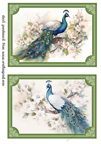 2 Peacock topper/card fronts in green frame 1
