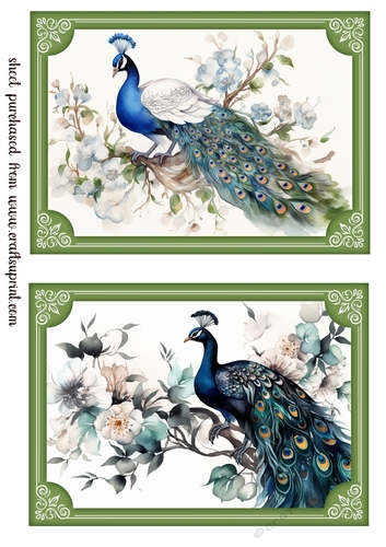 2 Peacock topper/card fronts in green frame 2