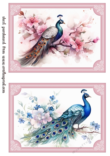 2 Peacock topper/card fronts in pink frame 2