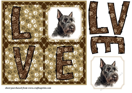 LOVE Scottish terrier card front 5