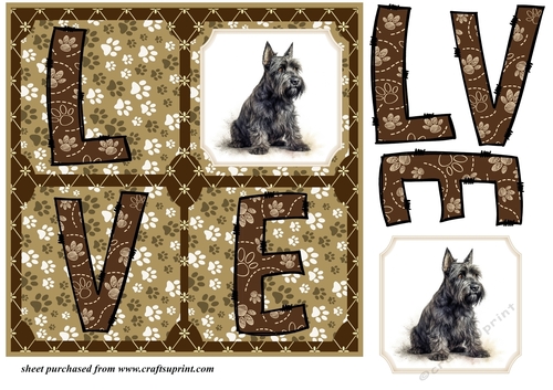 LOVE Scottish terrier card front 6