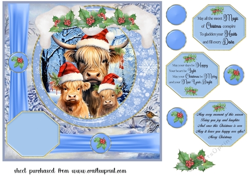 Framed Christmas family card front 1
