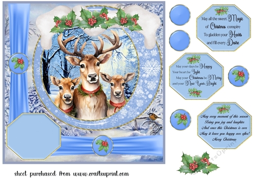 Framed Christmas family card front 2