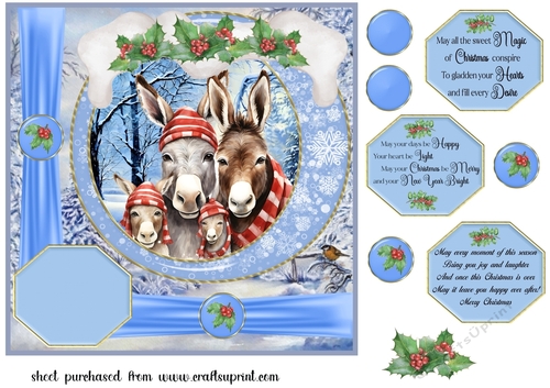 Framed Christmas family card front 3