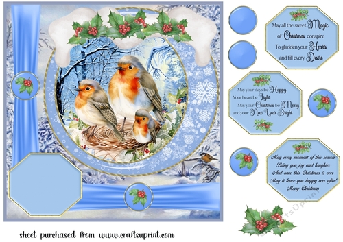 Framed Christmas family card front 5