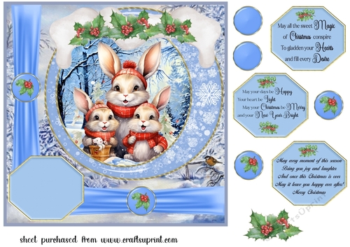 Framed Christmas family card front 9