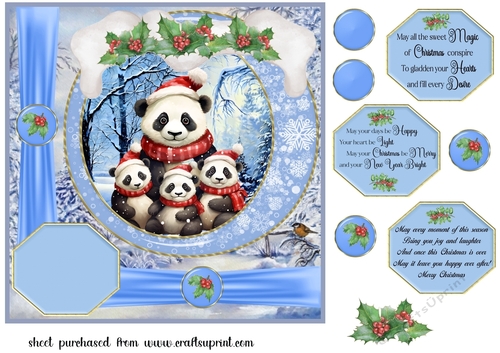 Framed Christmas family card front 10