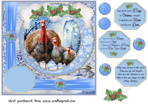 Framed Christmas family card front 11