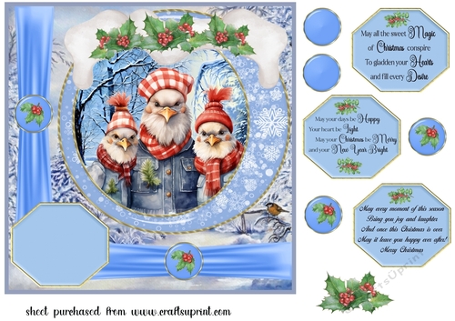 Framed Christmas family card front 12