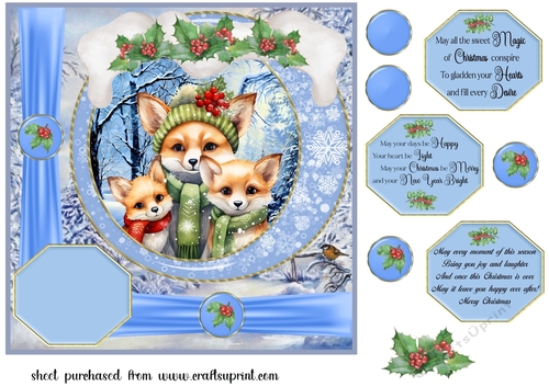 Framed Christmas family card front 13