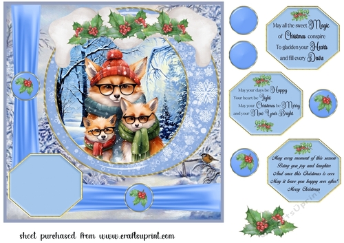 Framed Christmas family card front 14