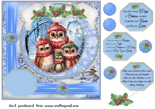Framed Christmas family card front 15