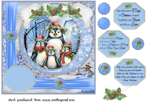 Framed Christmas family card front 16