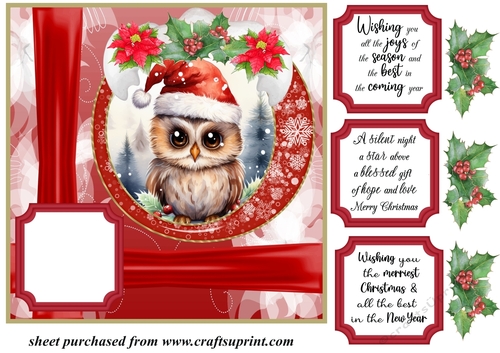 Red Christmas owl card front 
