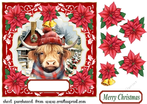 Poinsettia Highland cow card front 1