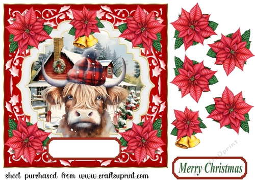 Poinsettia Highland cow card front 2