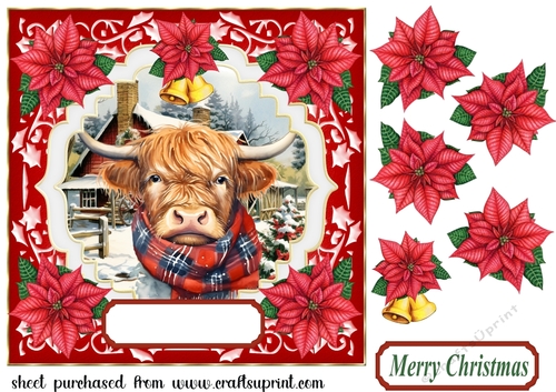 Poinsettia Highland cow card front 3