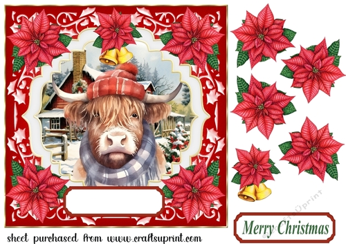 Poinsettia Highland cow card front 4