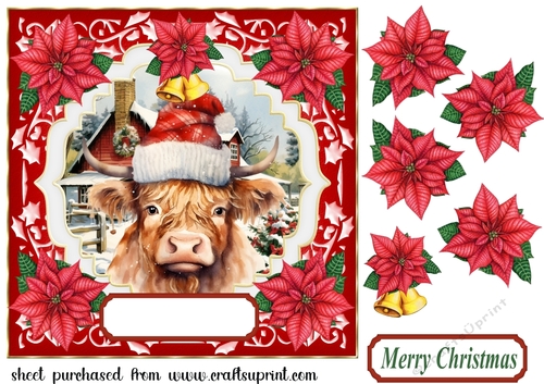 Poinsettia Highland cow card front 5