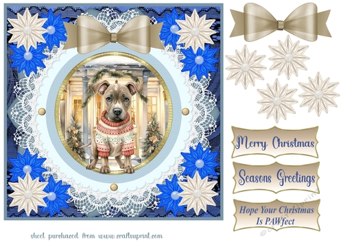 Blue Christmas pup in jumper card front 5