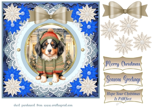 Blue Christmas pup in jumper card front 24