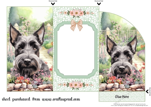 Scottish terrier in garden money/voucher wallet 2