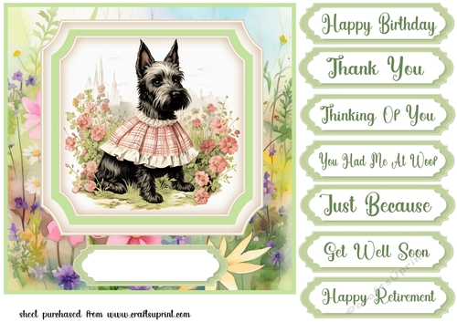 Vintage floral Scottish terrier card front 3