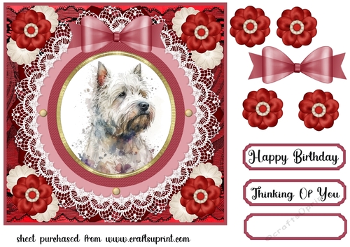 West Highland terrier card front 2