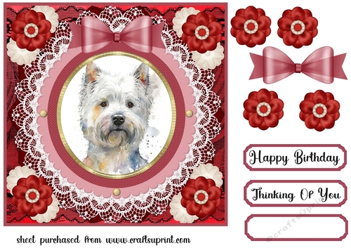 West Highland terrier card front 4