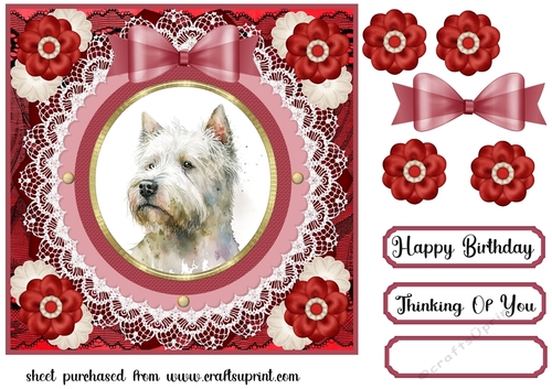 West Highland terrier card front 5