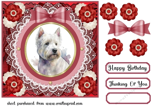 West Highland terrier card front 6