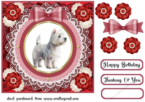 West Highland terrier card front 7