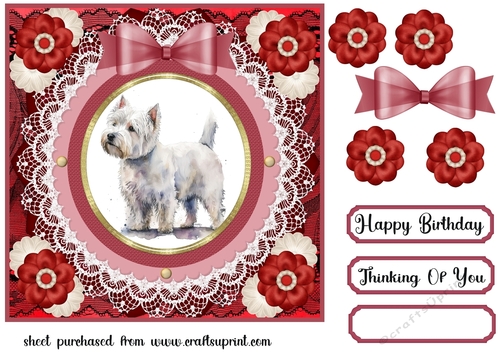 West Highland terrier card front 8