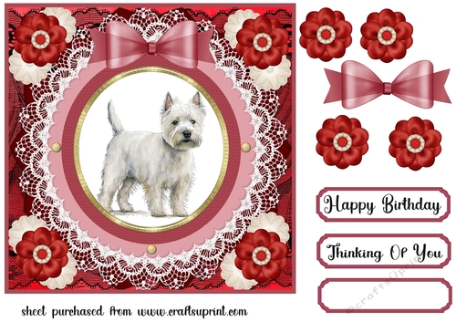 West Highland terrier card front 9