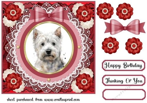 West Highland terrier card front 11
