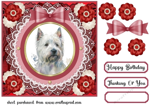 West Highland terrier card front 12